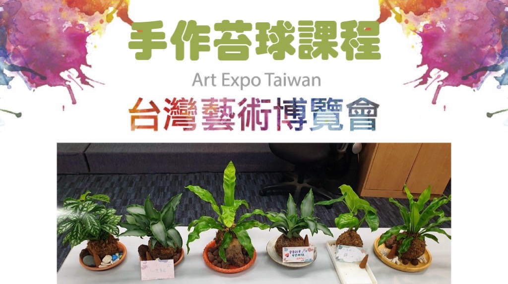 小水苔球手作療癒植物DIY