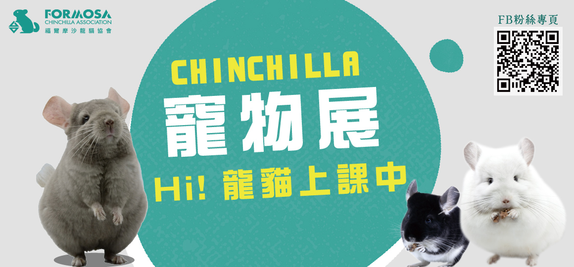Hi! 龍貓上課中
